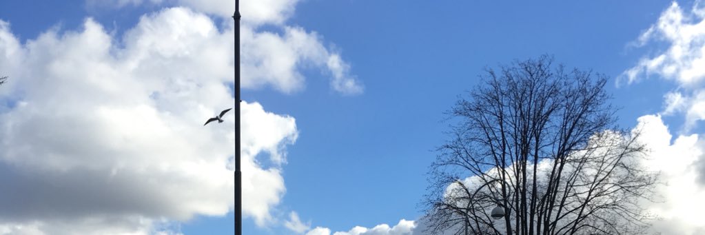 charliemacmill's profile banner image