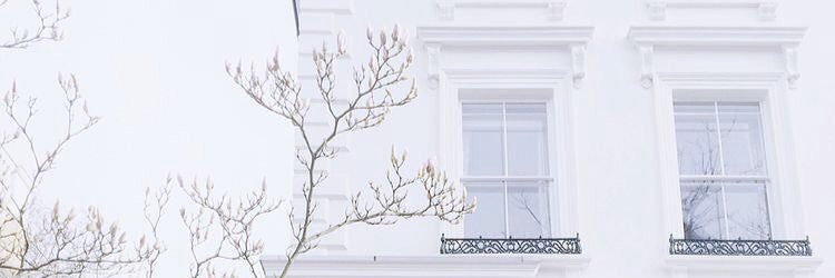 raniahalsomeh's profile banner image