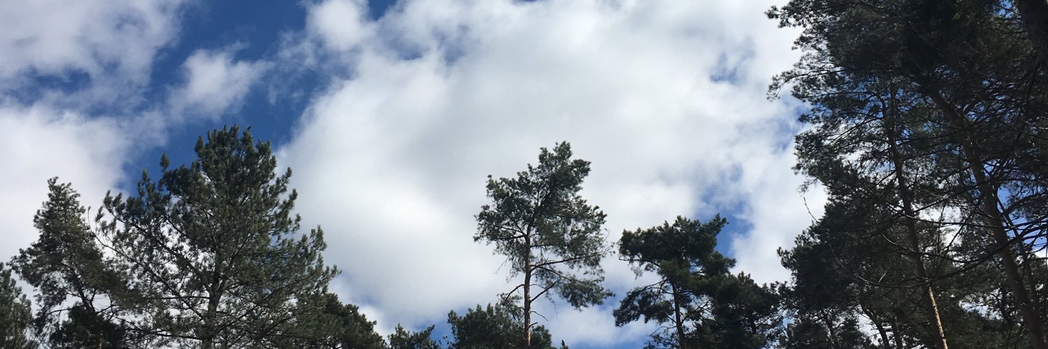 EllieBrackers's profile banner image