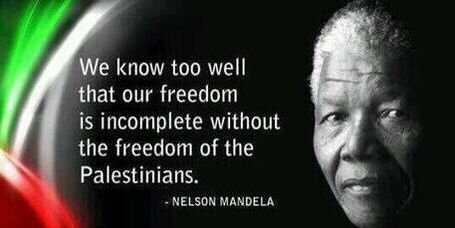 🇵🇸 Free Palestine 🇵🇸 banner