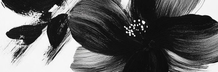 ChisteSol's profile banner image