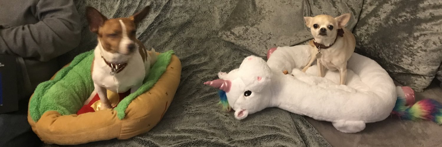 saralproctor's profile banner image
