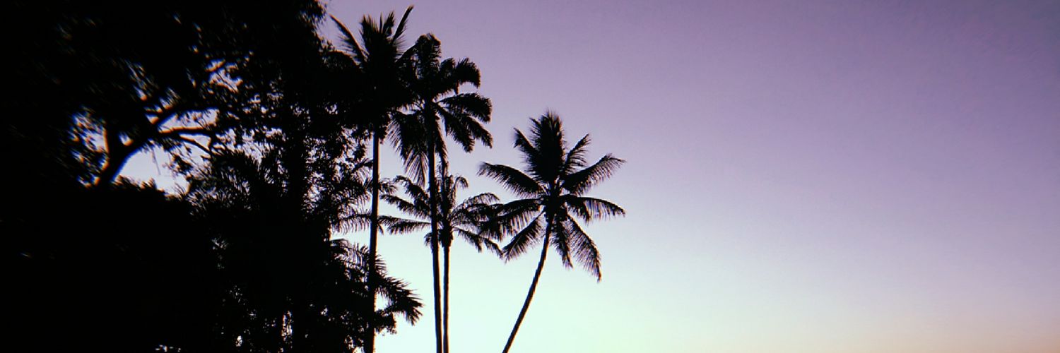 MDangelosanto's profile banner image