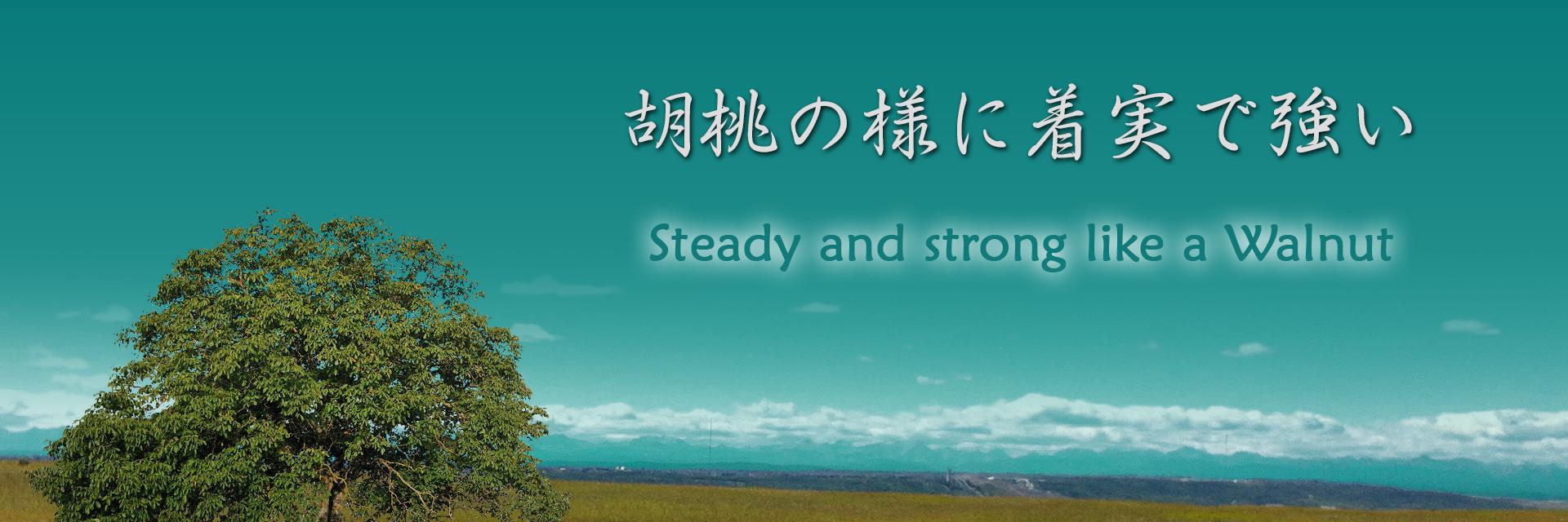 d4quoise's profile banner image