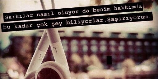 Semih Malay banner