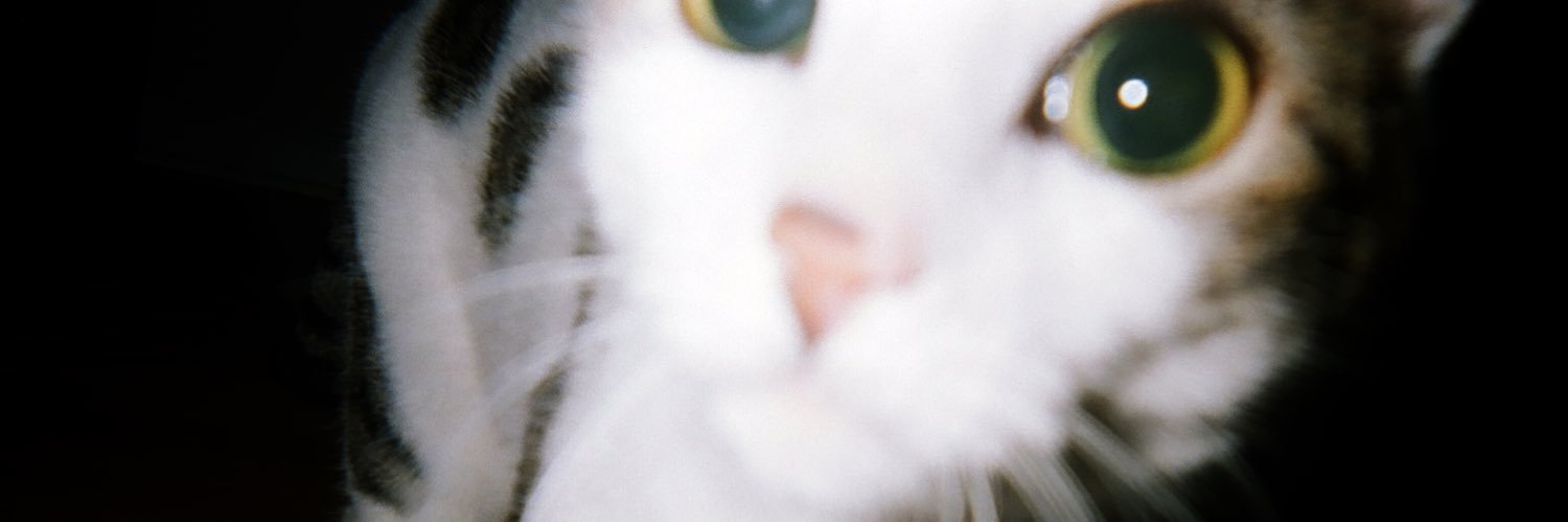 haleylujaah's profile banner image