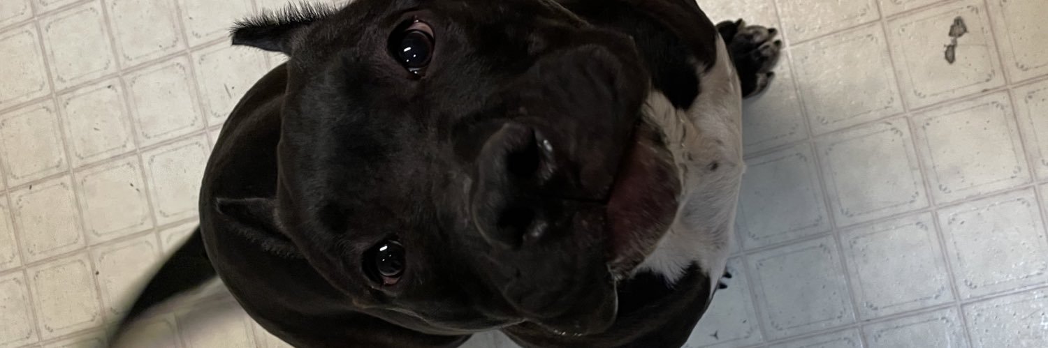 Rolando9k's profile banner image