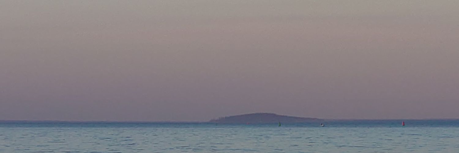 smeden med sleven🇸🇪🇺🇦 🖤💛 banner