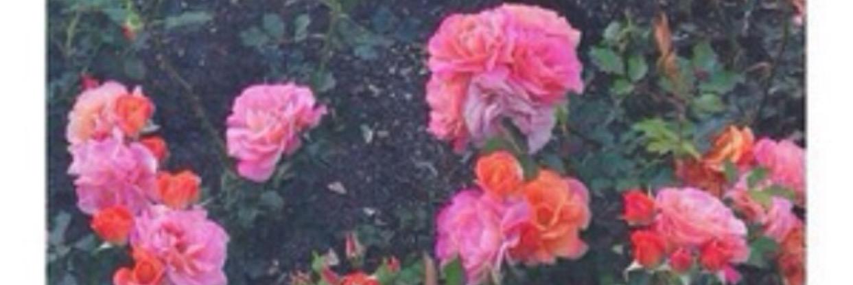 fr00ha88's profile banner image