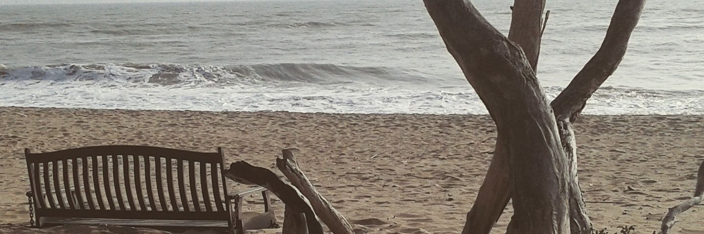 peppecapostagno's profile banner image
