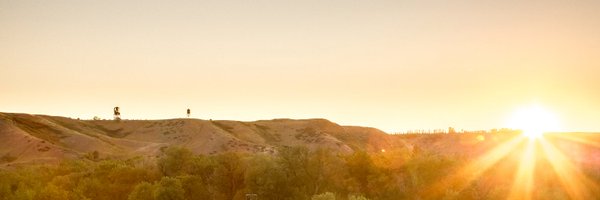 chooseleth Profile Banner