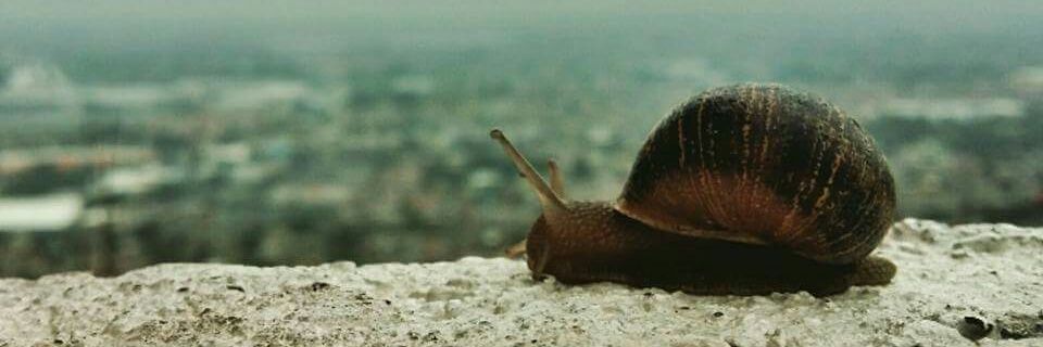 JABALTO_OFICIAL's profile banner image