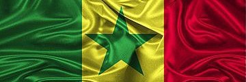 senegal0dechet's profile banner image