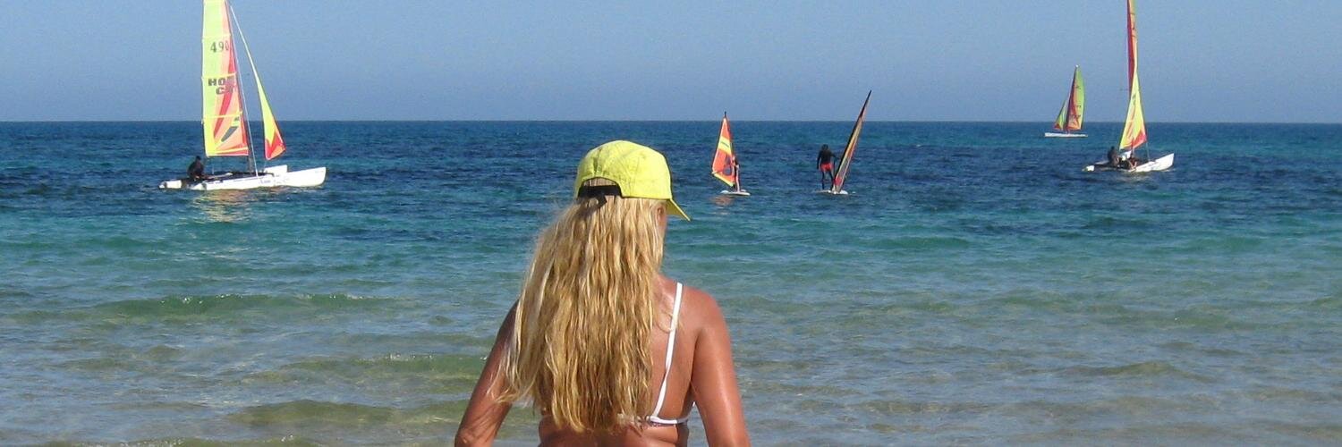 SDjinovic's profile banner image