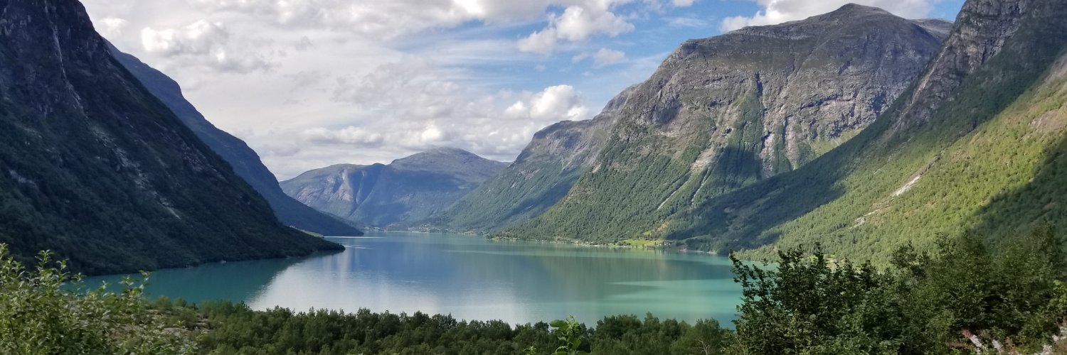 pam_hallberg's profile banner image