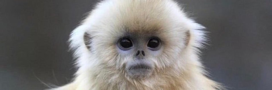 yofarananas's profile banner image