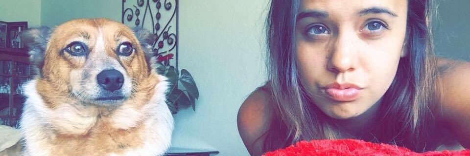 KateKansky's profile banner image