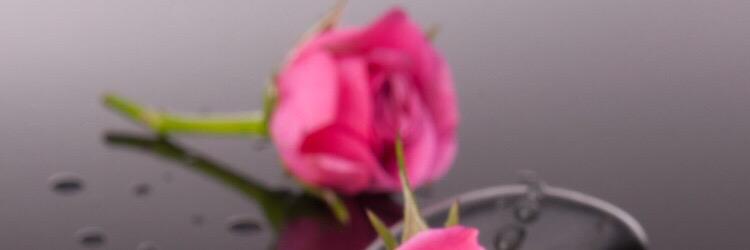 aserh_arar's profile banner image