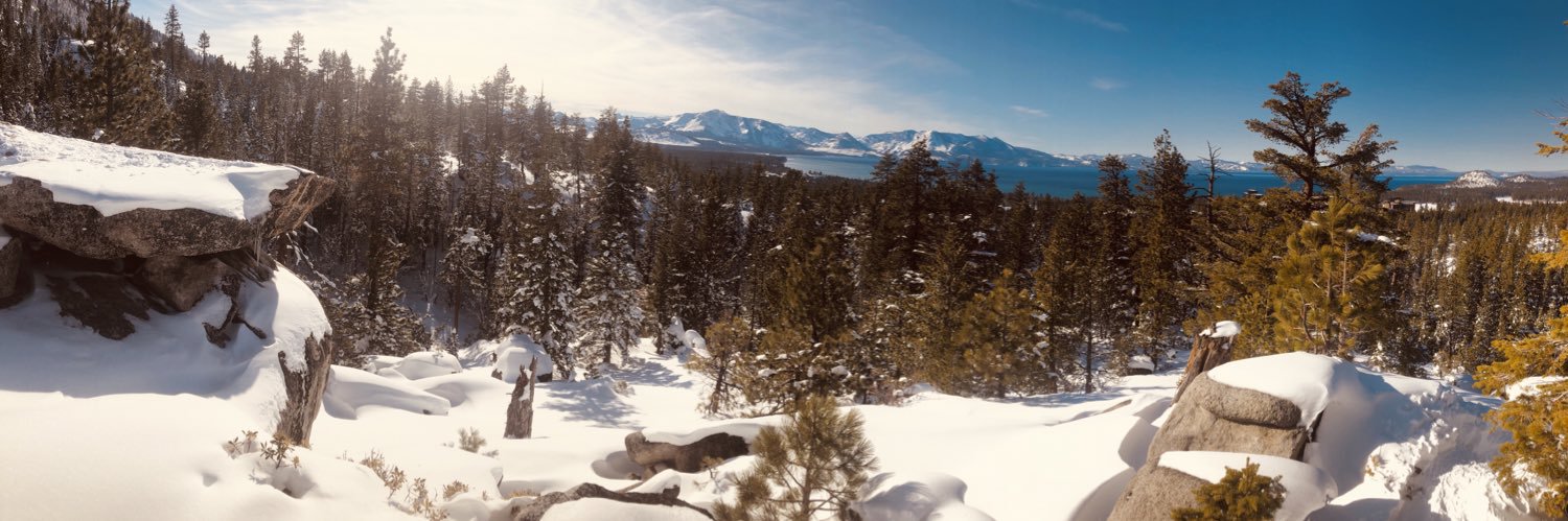 wildwildweston2's profile banner image