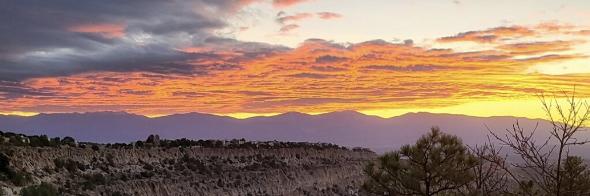 Michelle Longmire banner