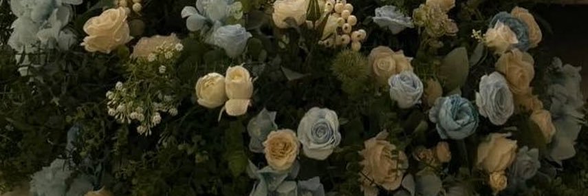 iitum4's profile banner image