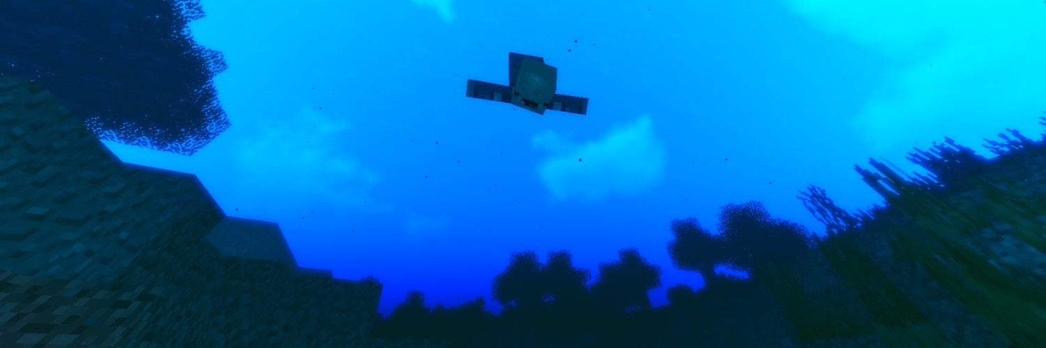 ShiningTurtle banner
