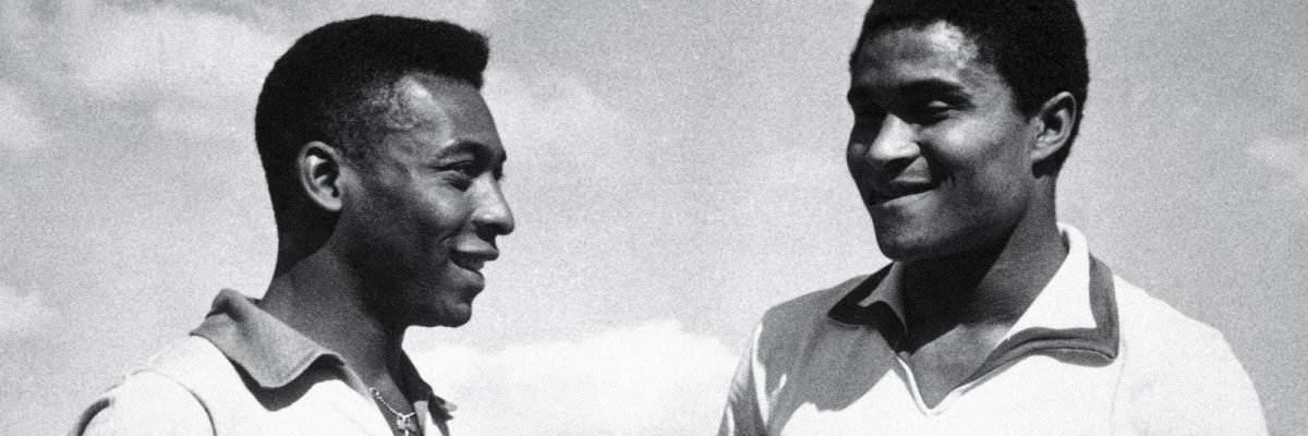 David Nóbrega banner