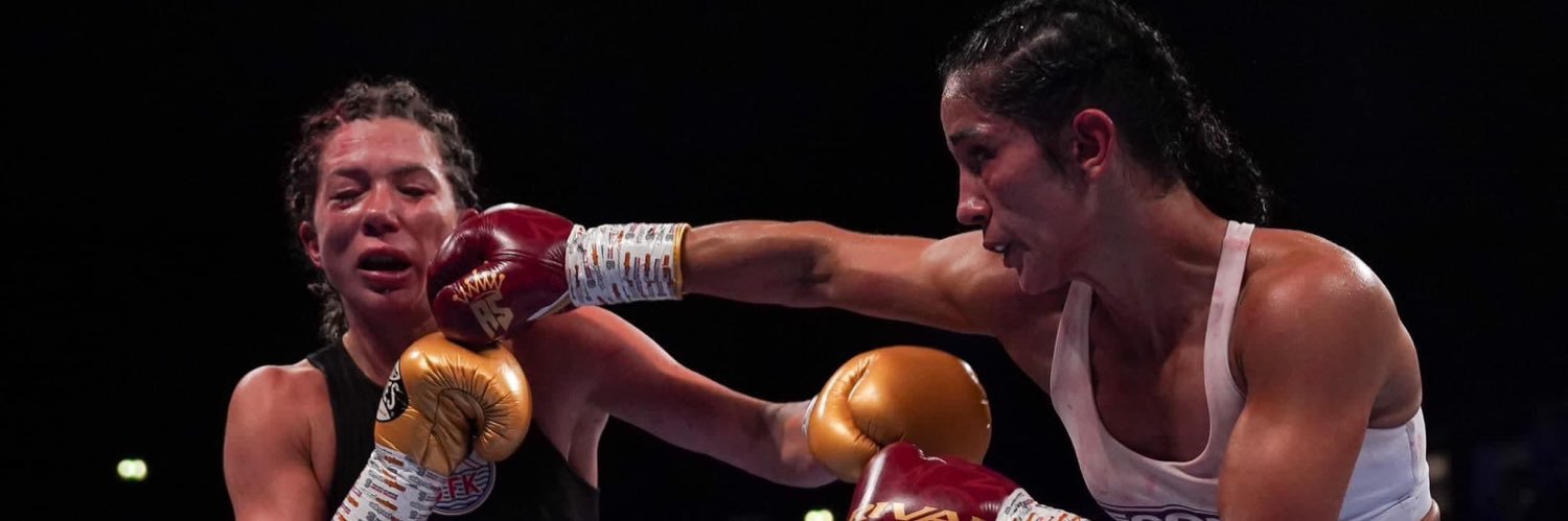 Amanda Serrano banner