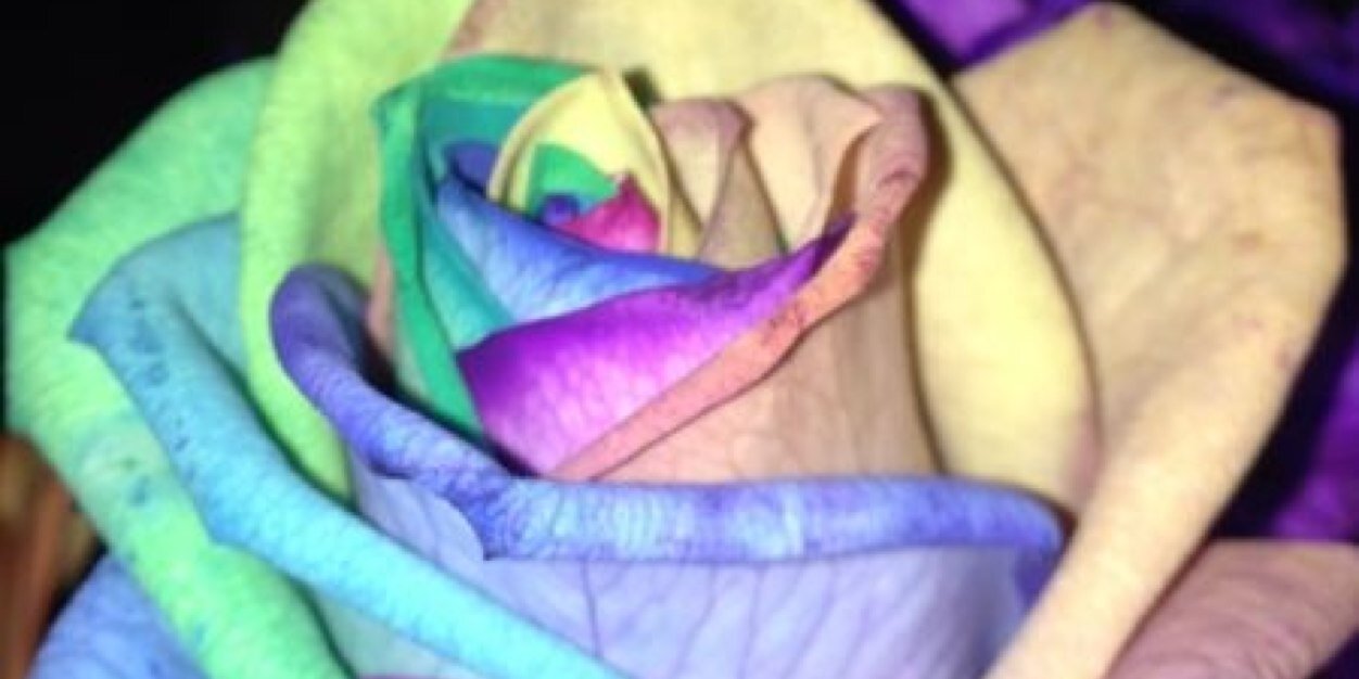 GeorgieB_'s profile banner image