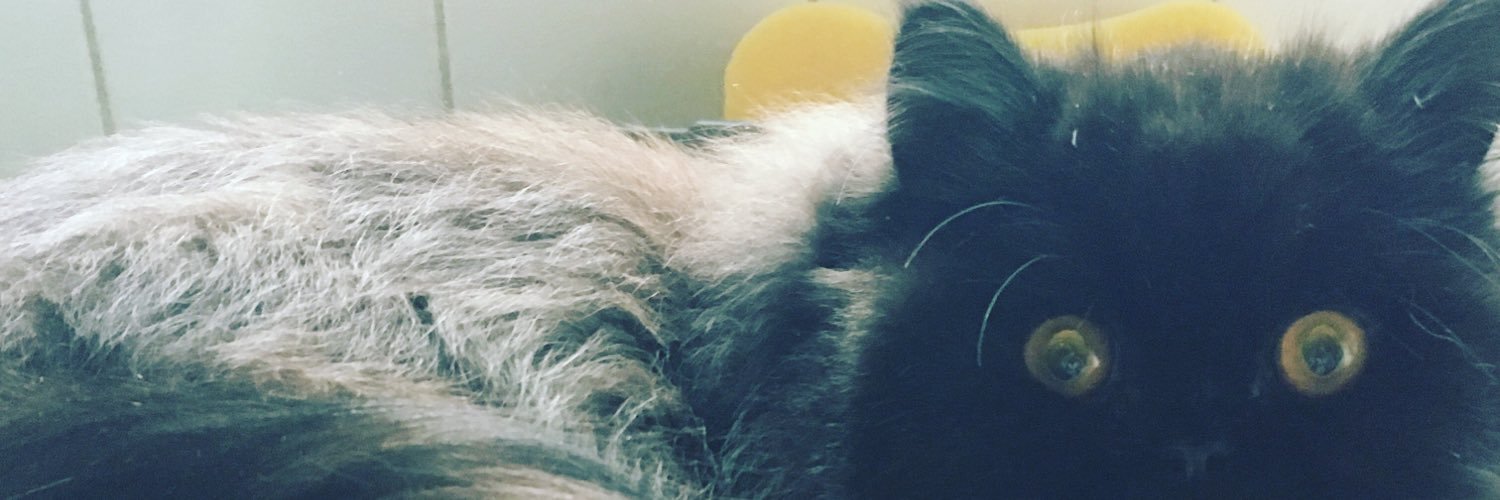 beckssuggate's profile banner image