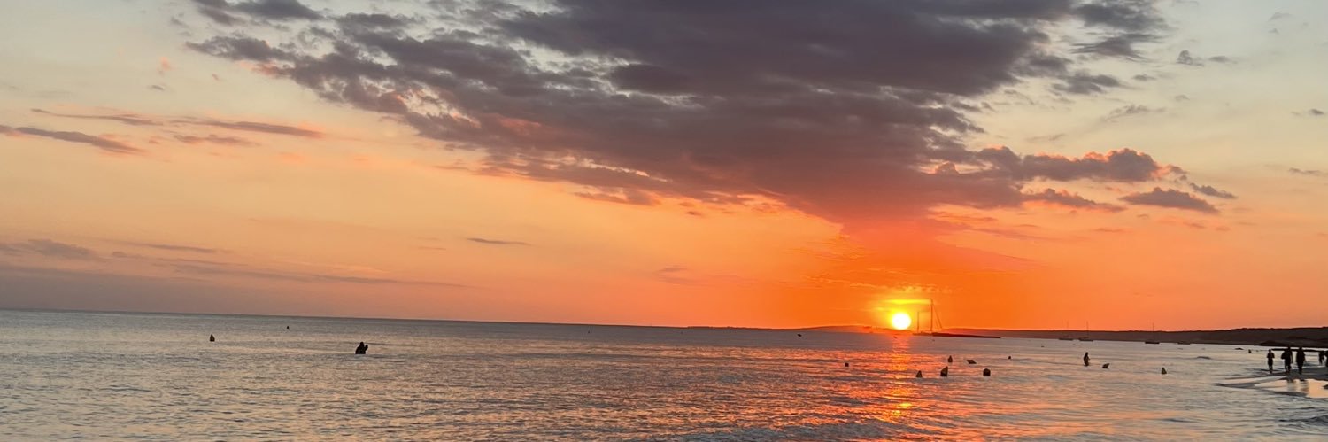 A r i a n a banner