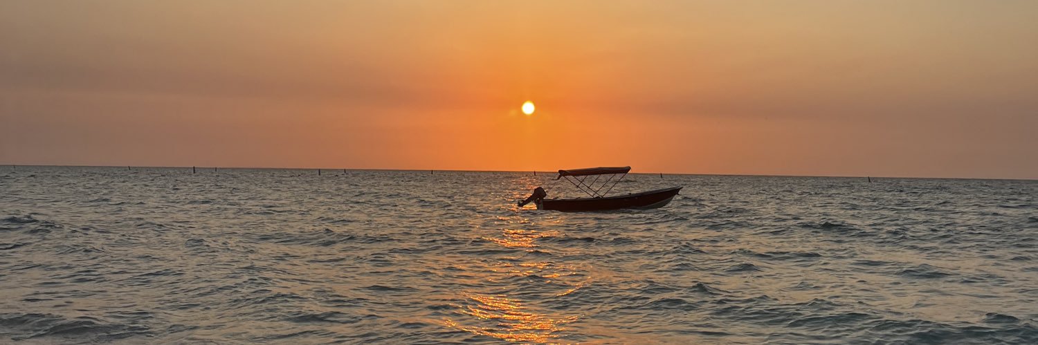 LuisiMascaro's profile banner image
