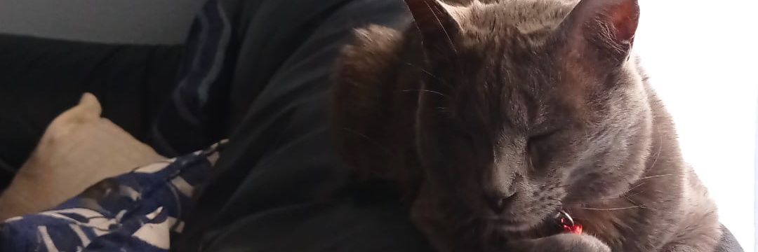 AlbertoChillon's profile banner image