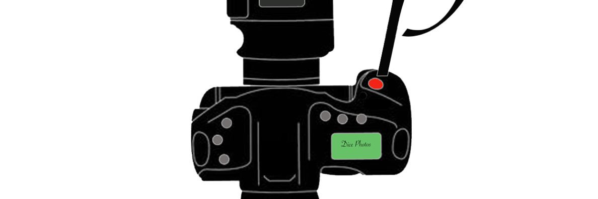 dice0928's profile banner image