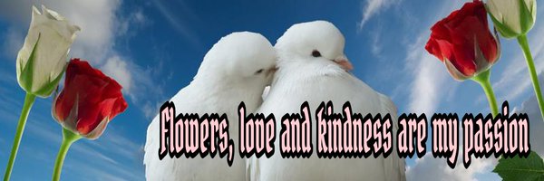 atmanifarid Profile Banner