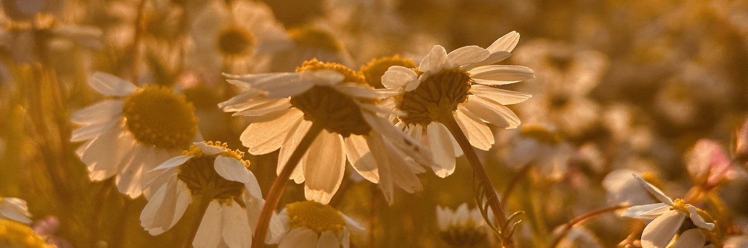 BestemEmir's profile banner image