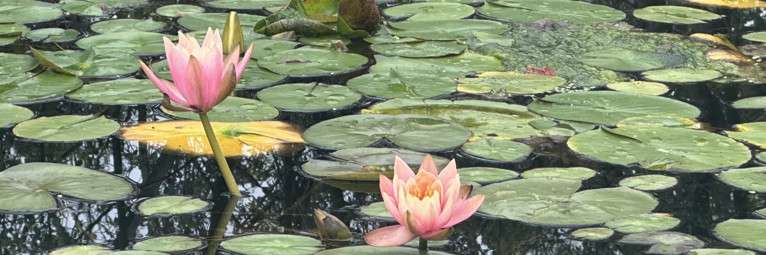 JardínBotánicoIBUNAM banner