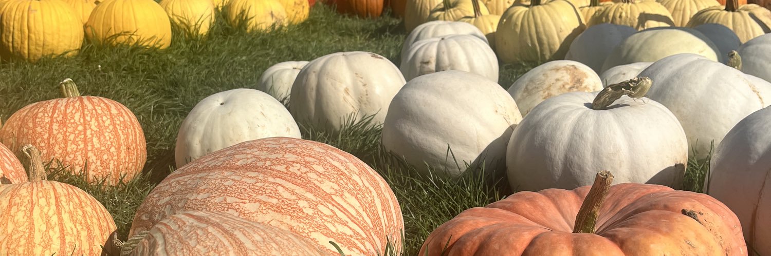 DelaneyDavis1's profile banner image