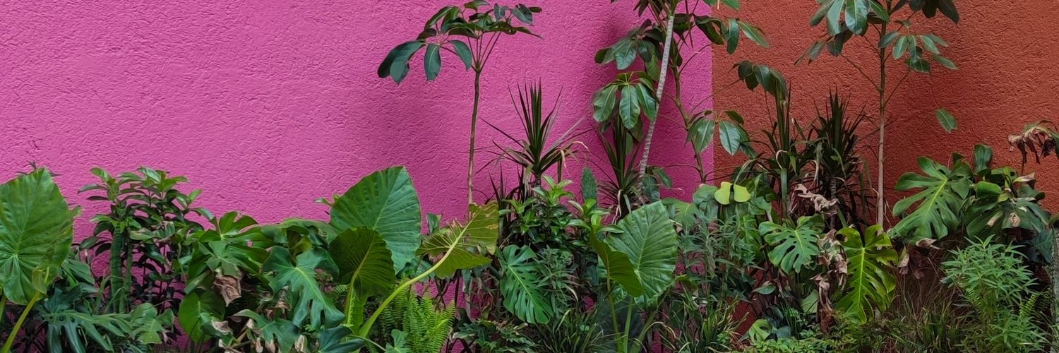 itscrispybtch's profile banner image