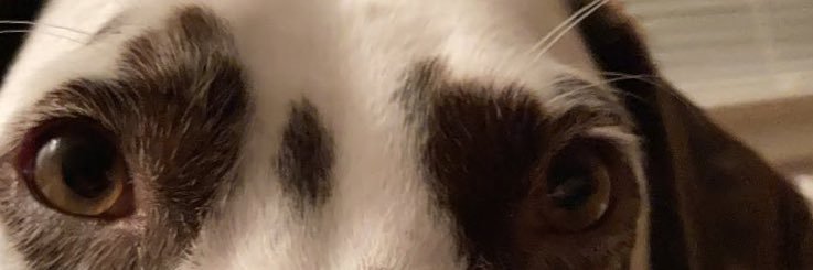 Adamclapp's profile banner image