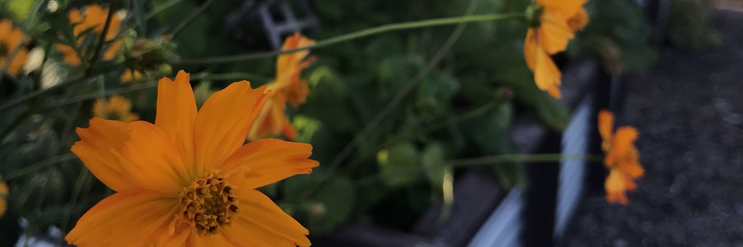 Jnclutch's profile banner image