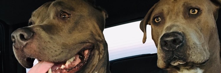 luceromge's profile banner image