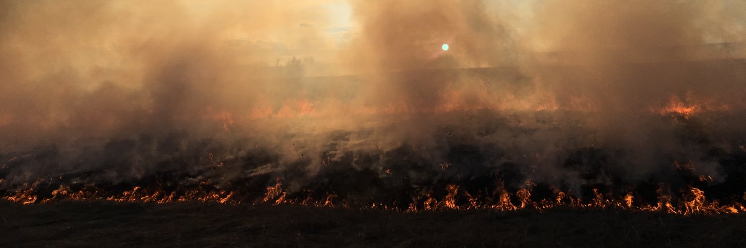 Burning Ideas banner