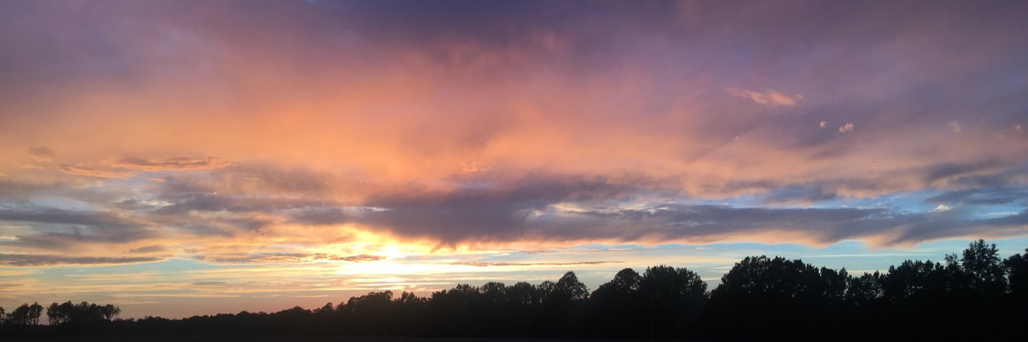mlharmonyy's profile banner image