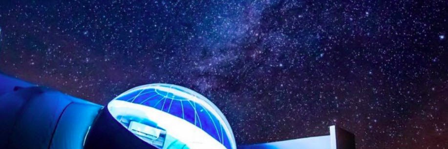 CynthiaPigeon's profile banner image