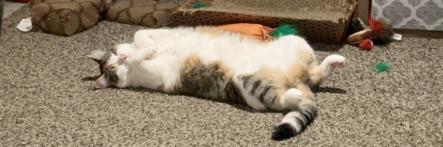kelbean33's profile banner image