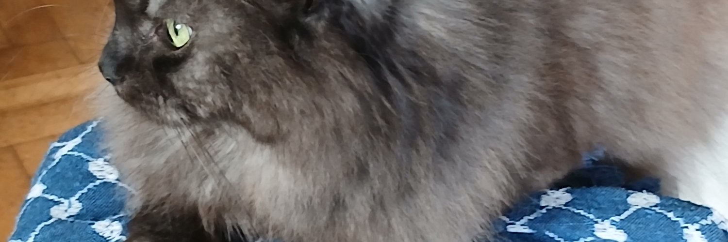 francois gallet banner