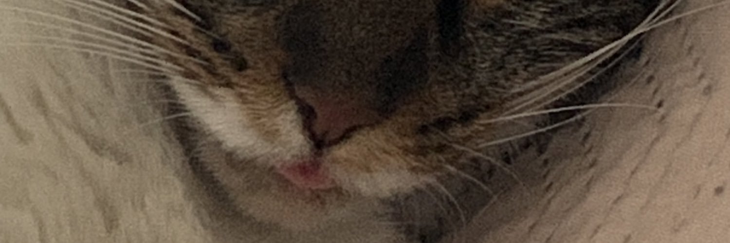 mariahgm_'s profile banner image