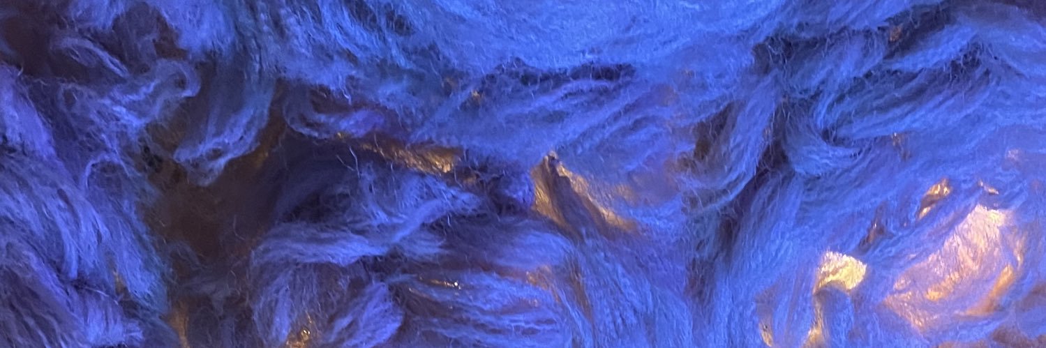 Ili_Borges's profile banner image