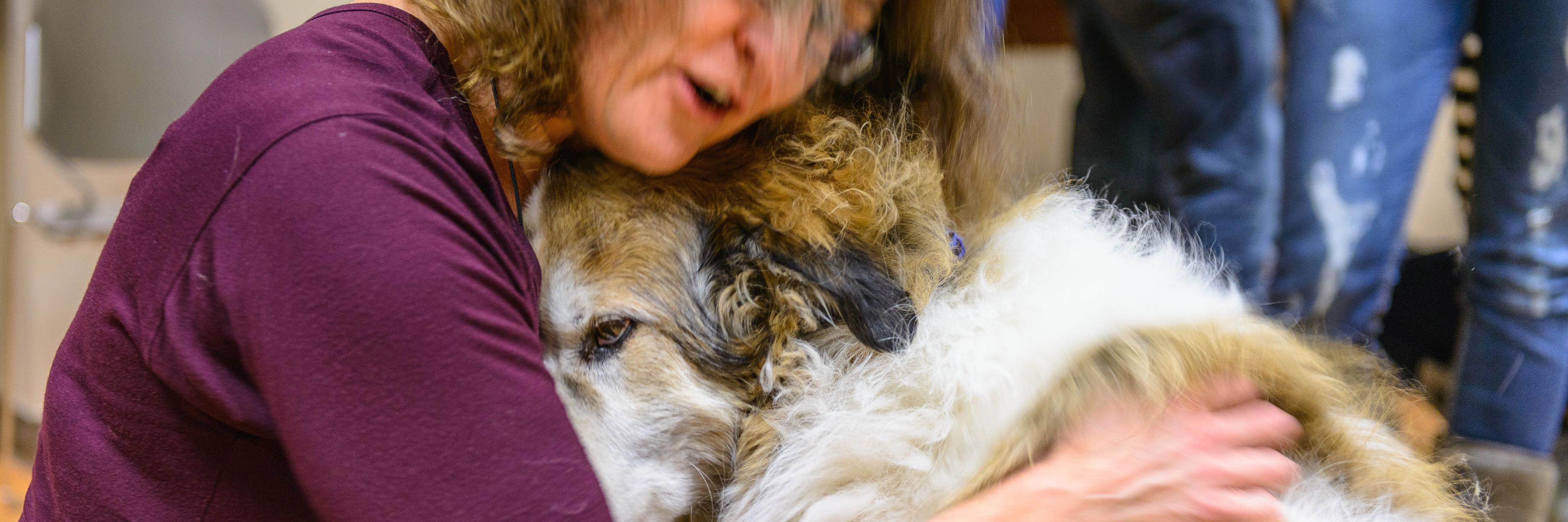 PALS: Pet Therapy Calgary 🐾 banner